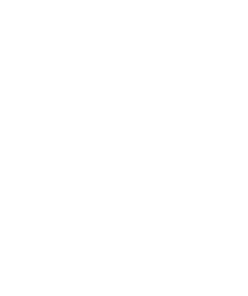 light logo